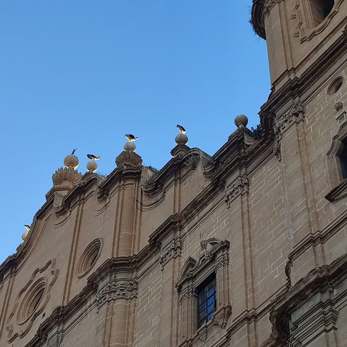 Foto de visita guiada Comarca Bajo Aragón