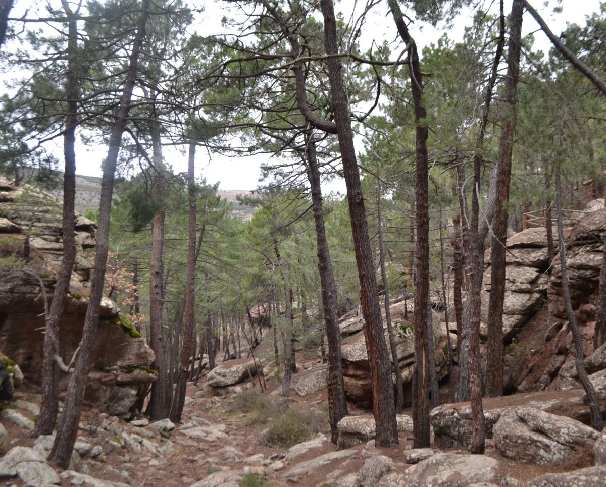Foto de visita guiada en Albarracín