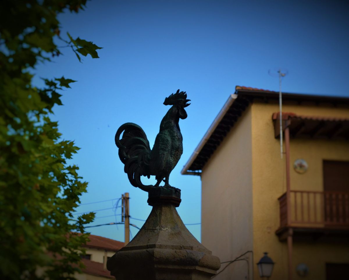 Foto de visita guiada en Albarracín